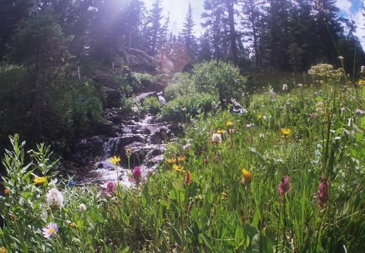 Lower Parika Lake